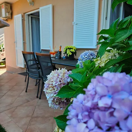 Apartman Ruza 1 Poljane